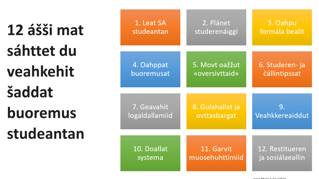 Govva čájeha 12 čuoggá mat sáhttet du veahkehit šaddat buoret studeantan