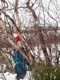 Boy inbetween trees